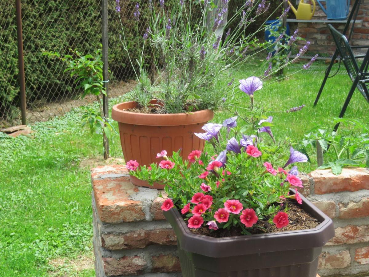 Mill House Apartment And Camping Ljutomer Esterno foto