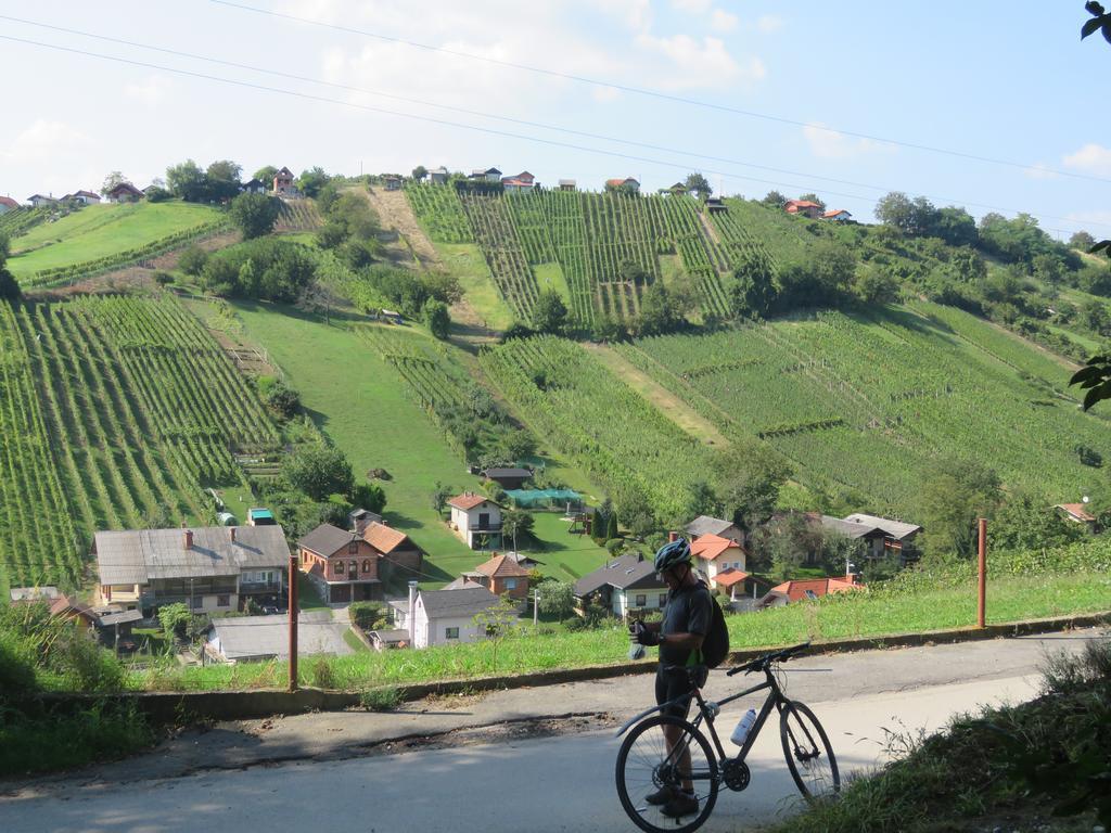 Mill House Apartment And Camping Ljutomer Esterno foto