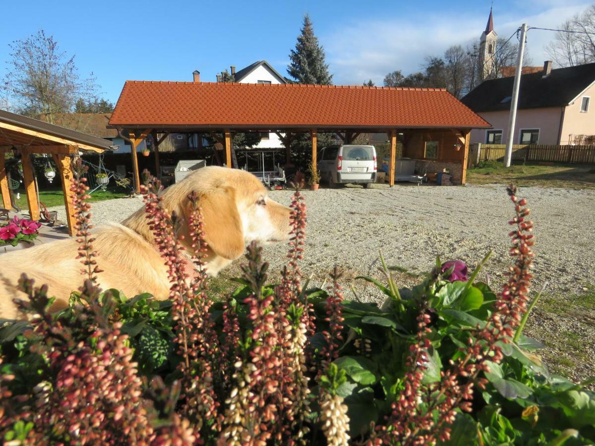 Mill House Apartment And Camping Ljutomer Esterno foto